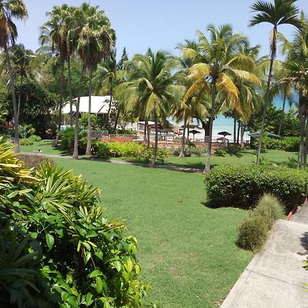 Beau Studio Lumineux Vue Mer Acces Plage Et Piscine Le Gosier  Exterior photo