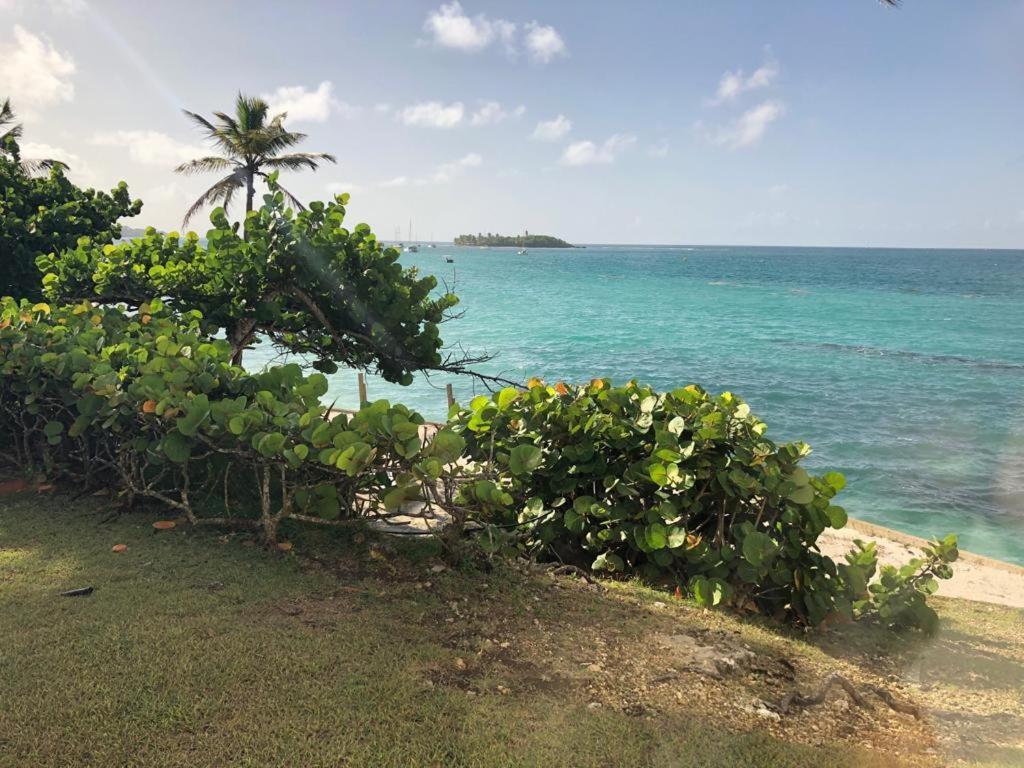 Beau Studio Lumineux Vue Mer Acces Plage Et Piscine Le Gosier  Exterior photo