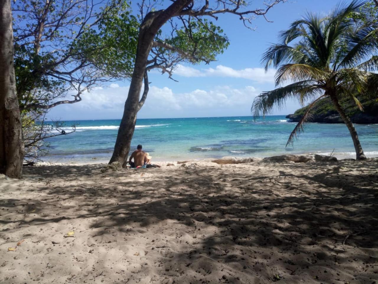 Beau Studio Lumineux Vue Mer Acces Plage Et Piscine Le Gosier  Exterior photo